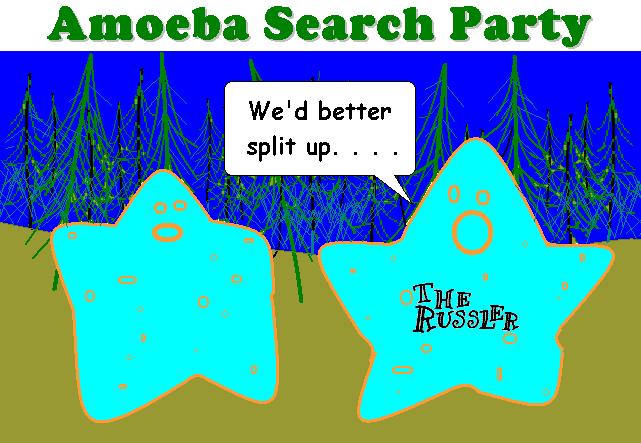 Amoeba Search Party