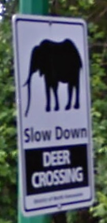 SLOW DOWN / DEER CROSSING (accomp by pic of elephant)
