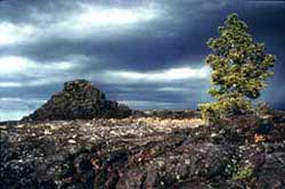 lava field