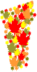 Beautiful Autumn Colors
